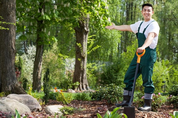 groundskeeper palm beach