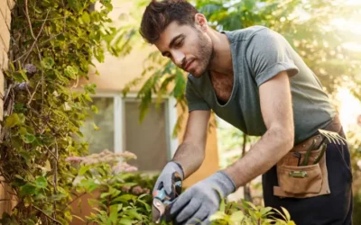 Daily Responsibilities of a Professional Groundskeeper